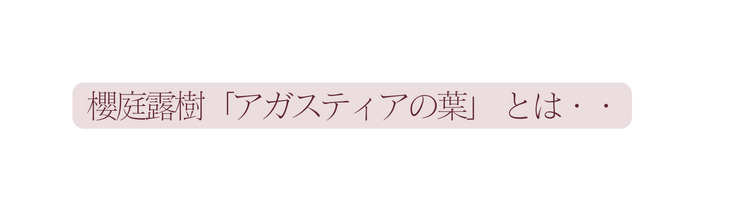 櫻庭露樹 アガスティアの葉 とは