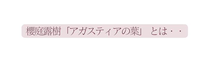 櫻庭露樹 アガスティアの葉 とは